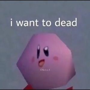 Meet your Posher, Ray